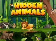 Hidden Animals